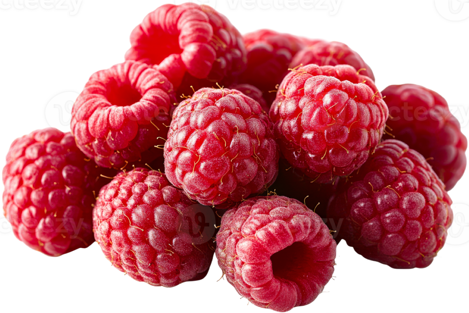 FRESH RASPBERRY